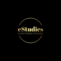 EverythingStudies